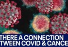 Major Study: Covid ‘Vaccines’ Reduce Life Expectancy by 37%