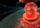 Apollo Sample Reanalysis Rewrites Understanding of Lunar Formation History